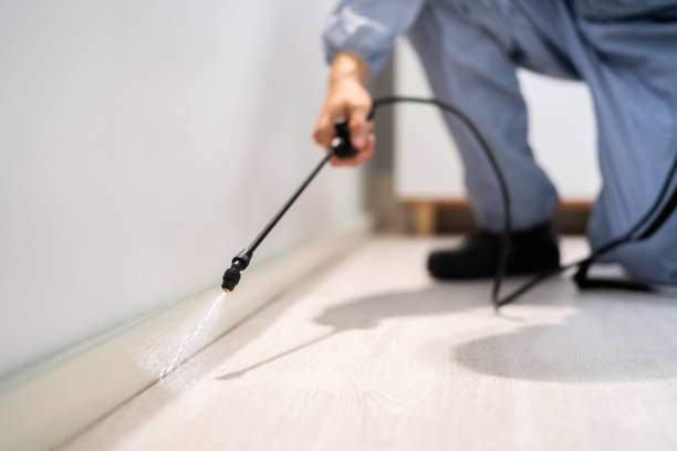 Licensed Pest Control service in Corvallis, MT - Show Me Pest Control