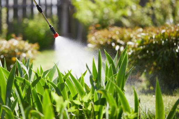 Tamper-Resistant Bait Stations for Rodents in Corvallis
