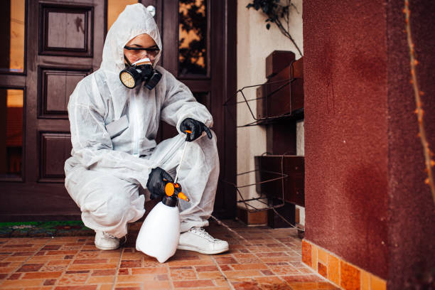 Attic and Crawl Space Rodent Treatment in Corvallis